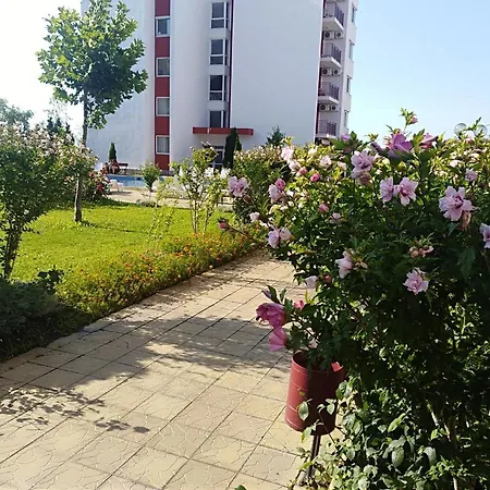 Noks First Line Seaview سفيتي فلاس